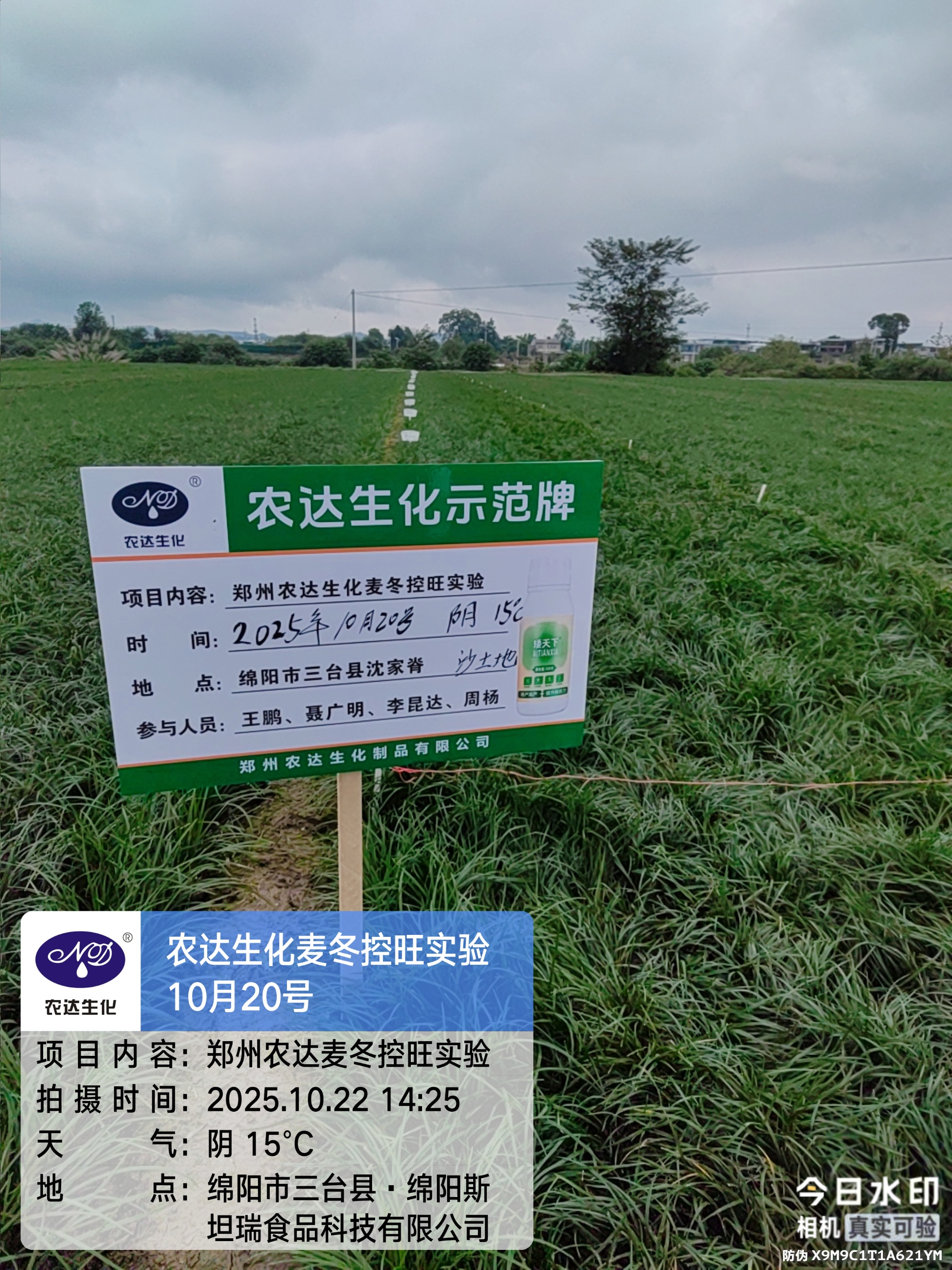 藥典新規要檢多效唑？別慌！農達“矮天下”助您控旺又增產！(圖1)